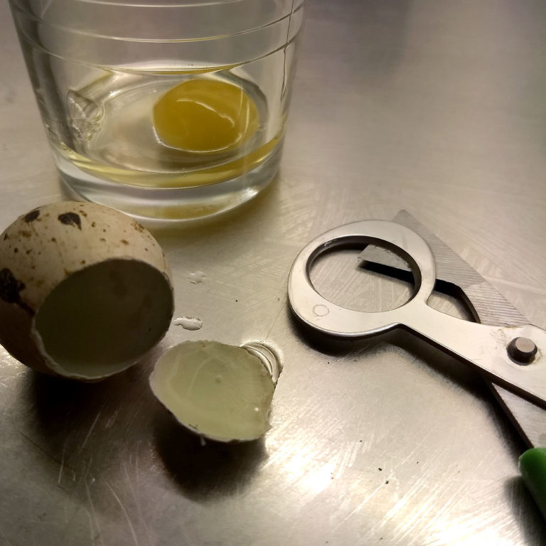 Knäcka ägg Med En Hand